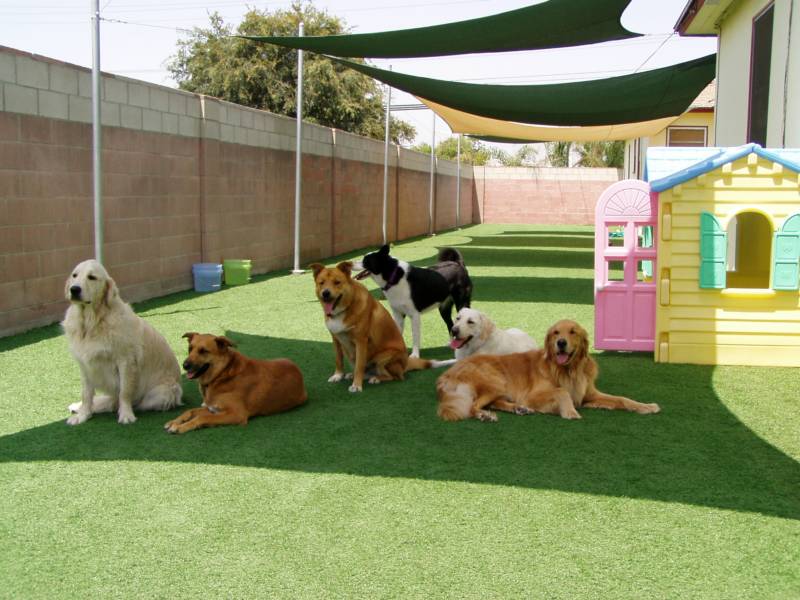 Pension pour animaux